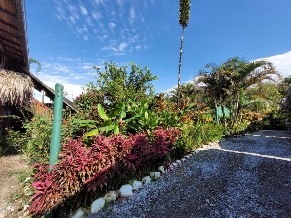Mindo GlamBird Glamping&Lodge Exterior foto