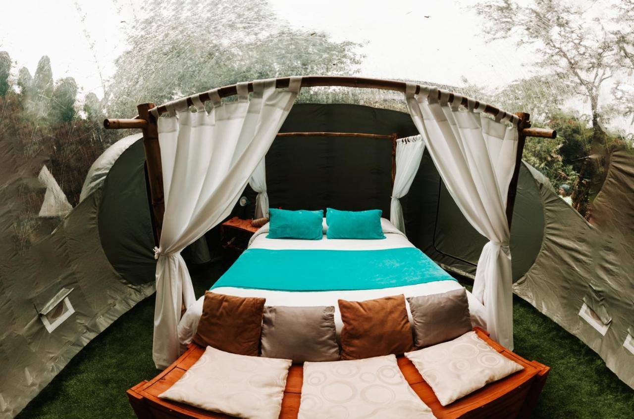 Mindo GlamBird Glamping&Lodge Exterior foto