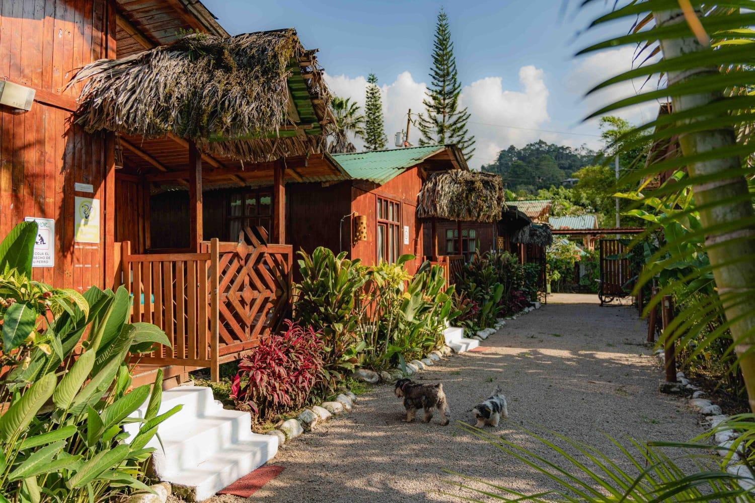 Mindo GlamBird Glamping&Lodge Exterior foto
