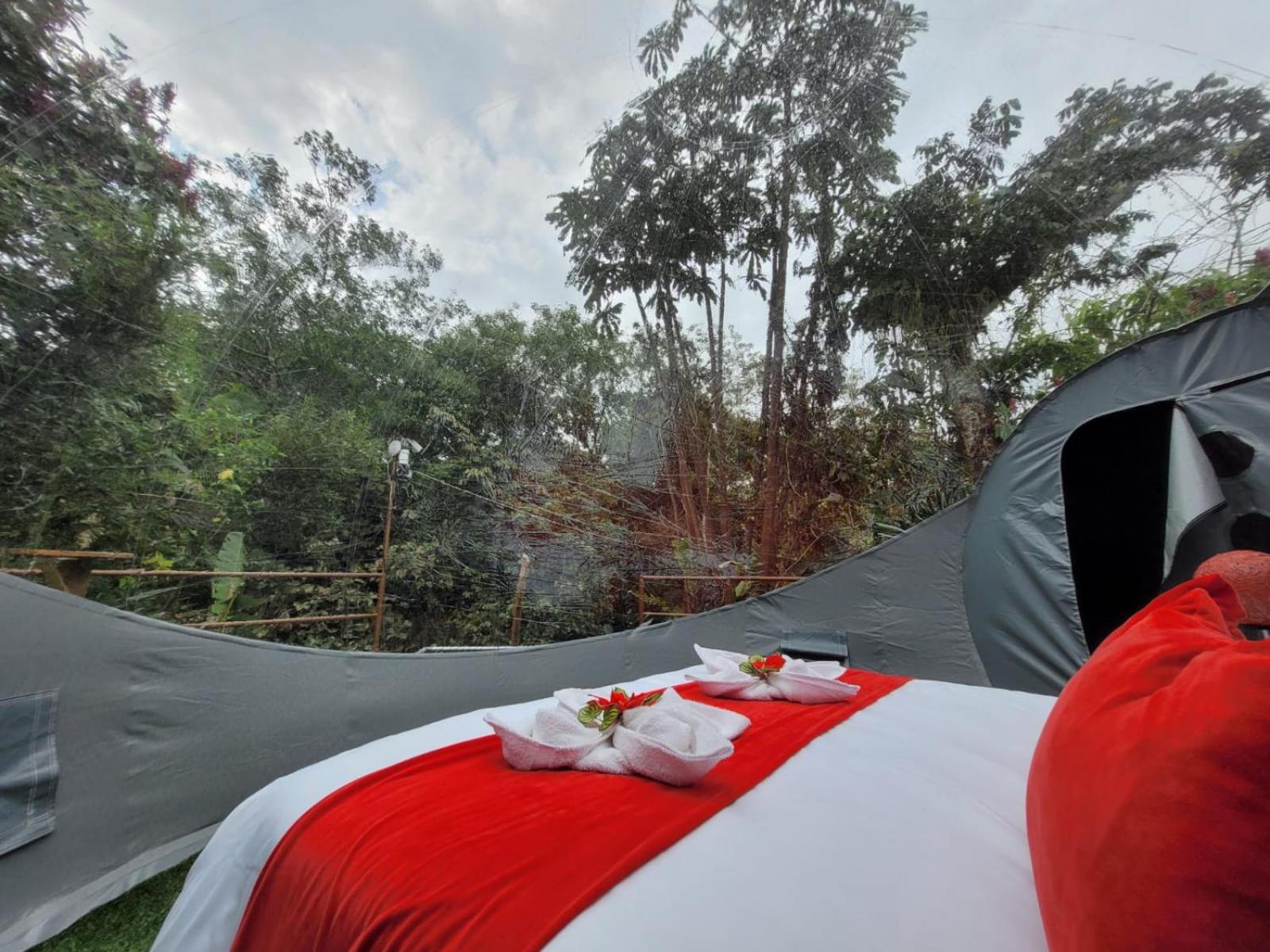 Mindo GlamBird Glamping&Lodge Exterior foto